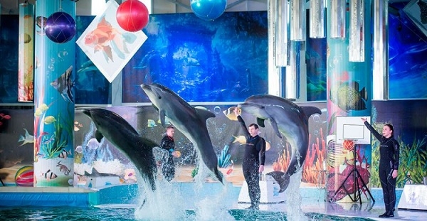 Куда сходить с детьми в Евпатории