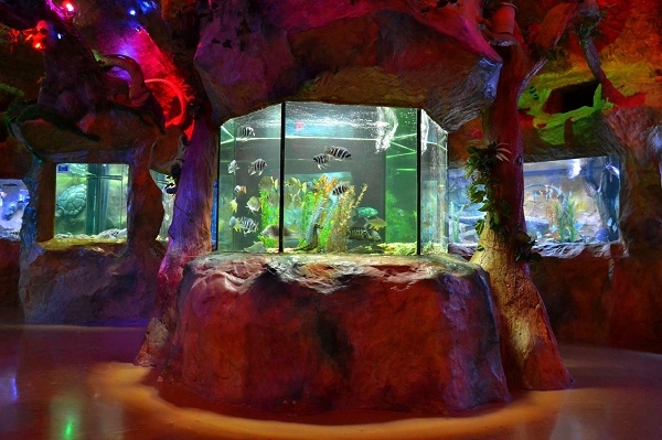 Куда сходить с детьми в Евпатории